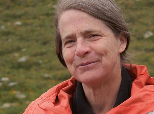 Helga Kromp-Kolb